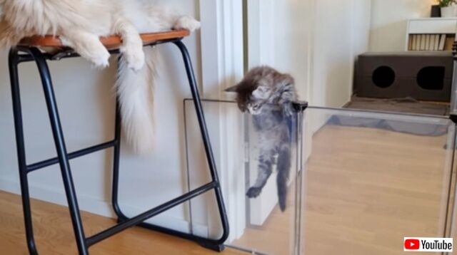 20230613_195807 (6)_batch