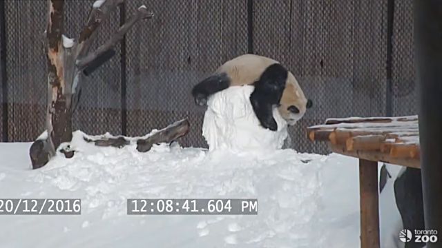 snowman7
