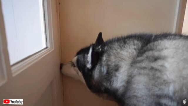 20231215_194301 (4)_batch