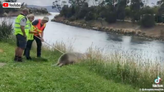 20240302_043651 (4)_batch