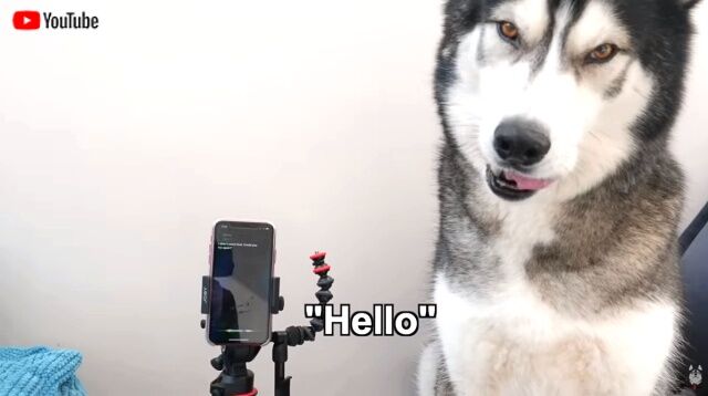 siri1_640