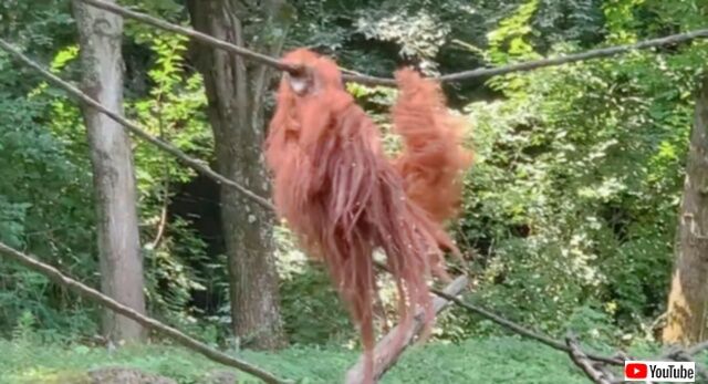 20231020_220531 (2)_batch