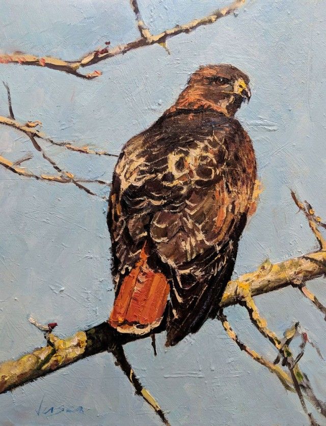 ryan_jensen_hawk_painting.jpg.838x0_q80_e