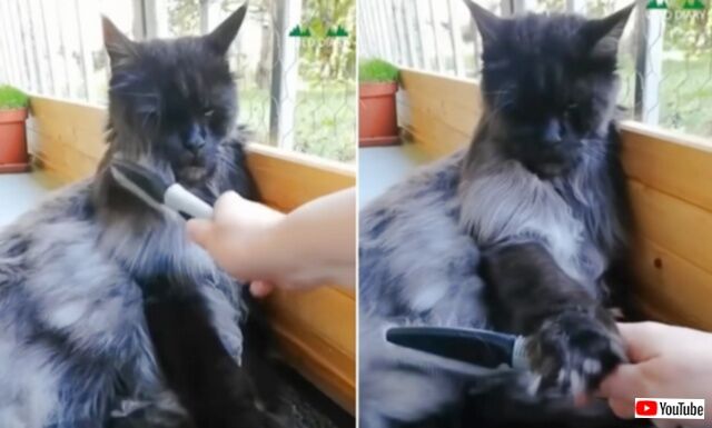 20230928_055202_batch