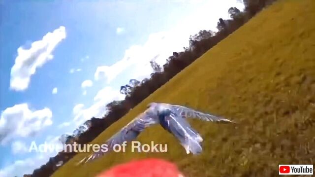 roku6_640