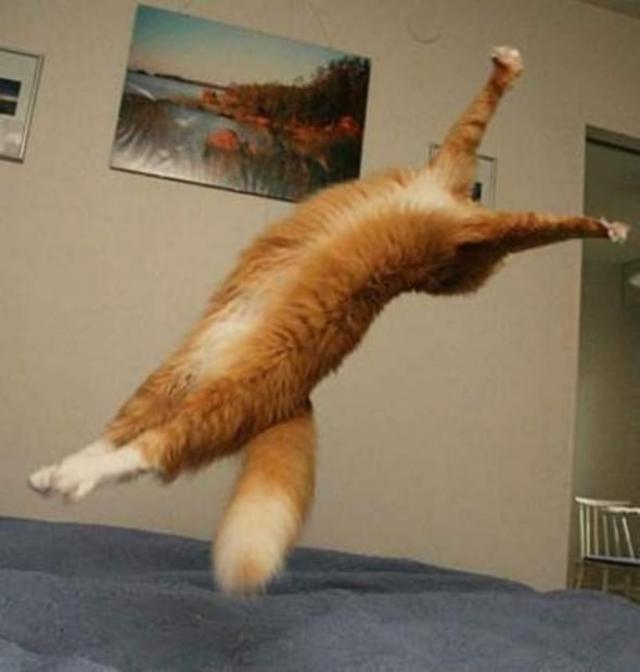 jump-2 [www.imagesplitter.net] (1)