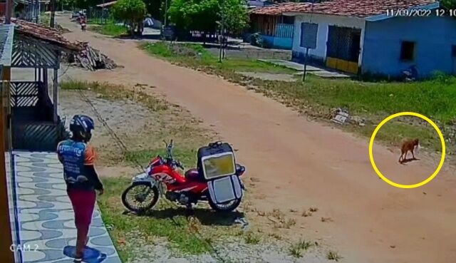 20220919_182834 (3)_batch