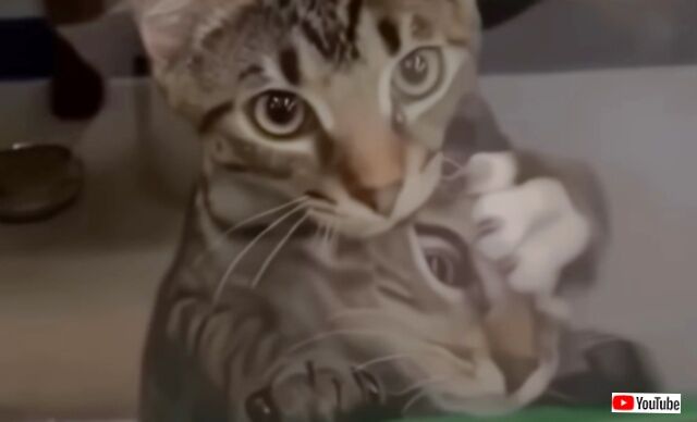 20230920_034812 (4)_batch