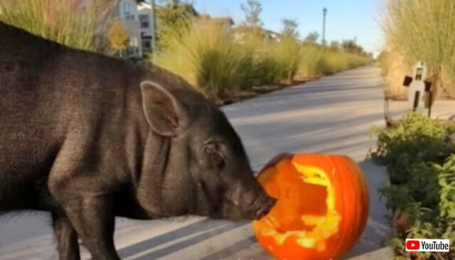 20231107_192709_batch