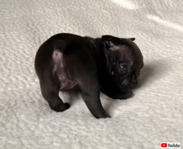 20231211_101555 (5)_batch