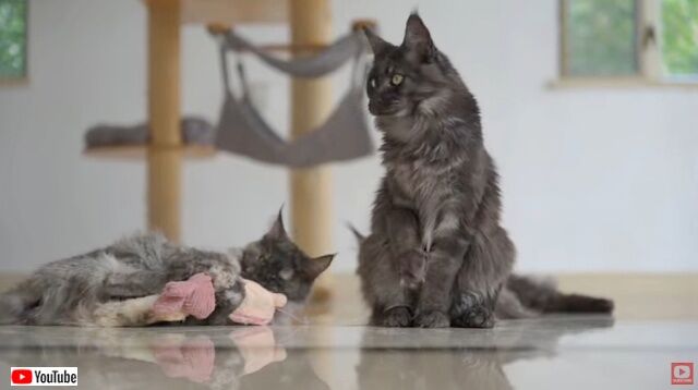 20230107_180517 (7)_batch