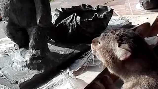 猫 できたての像に体アタック 出来立てほやほやの像に全身で突撃するも推定無罪 カラパイア