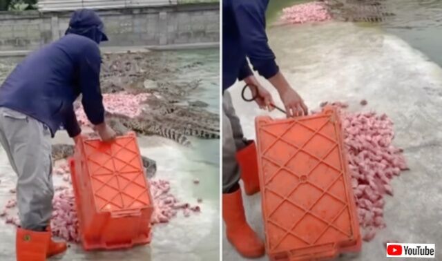 20231109_075538_batch