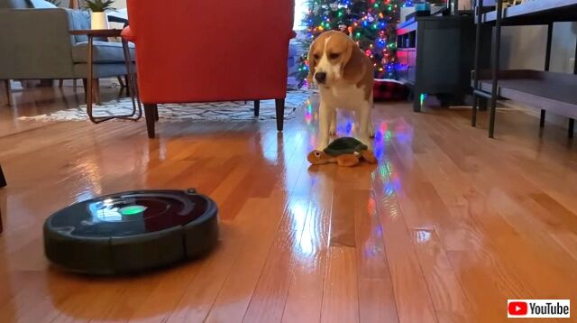 alarmedbyroomba7_640