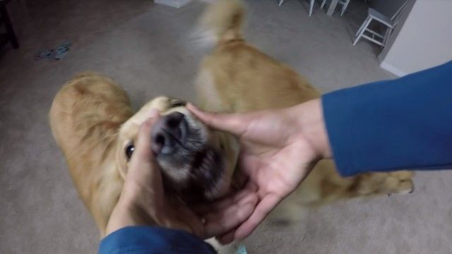 oshie3_e