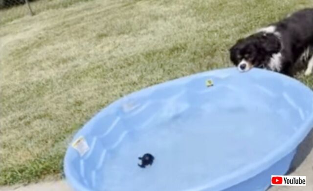 20230814_023246_batch