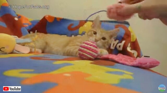 20221018_191235 (7)_batch