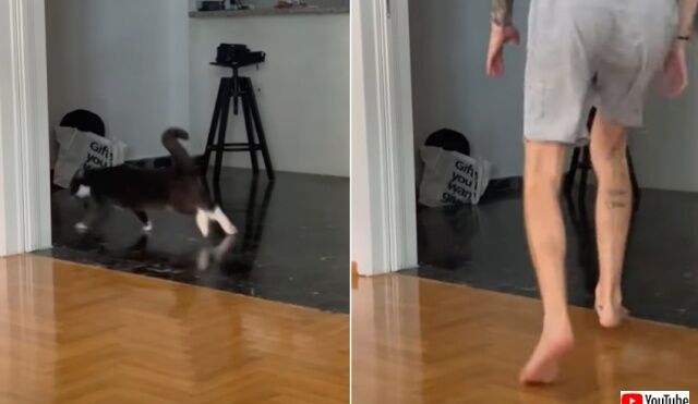 20220716_114218_batch