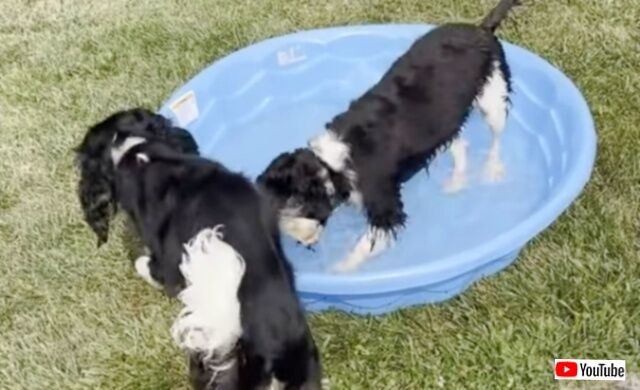 20230814_023246 (4)_batch