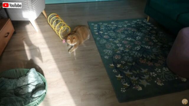 20230910_180233 (2)_batch