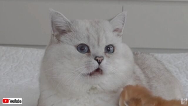 20230520_171417 (3)_batch