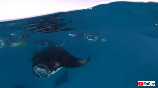 maldives6_640