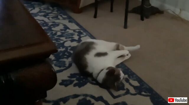 20220707_004455 (6)_batch