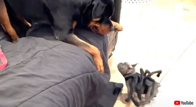 20221003_010805 (6)_batch