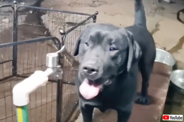 20231112_064622 (7)_batch