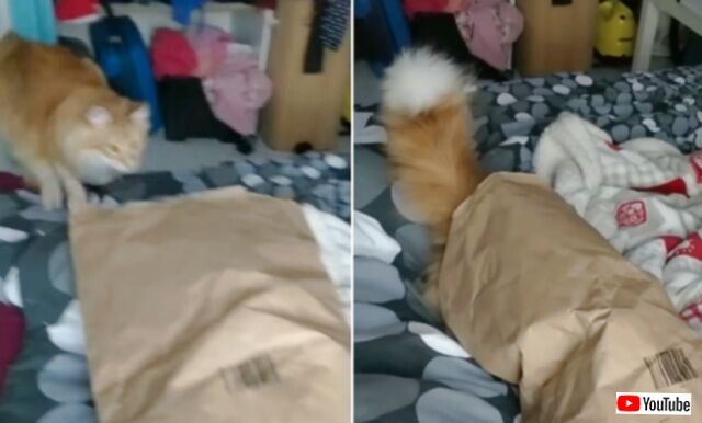 20240111_075257 (2)_batch