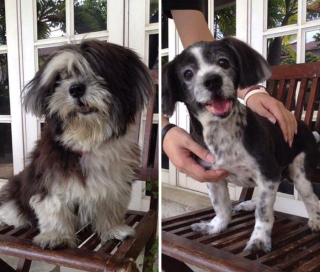 beforeafter17_e