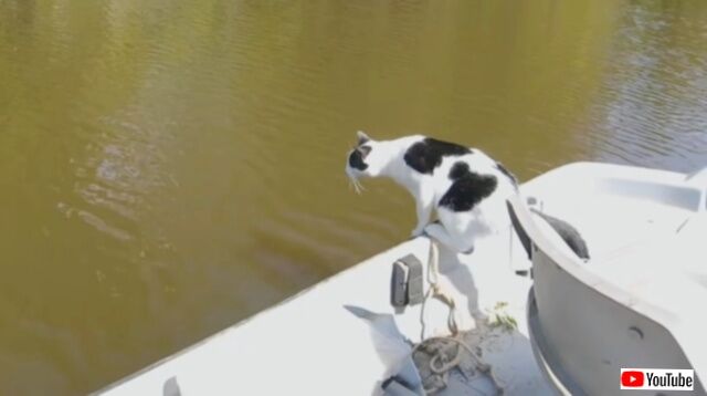 20230708_115529_batch