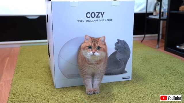 cozybox4_640