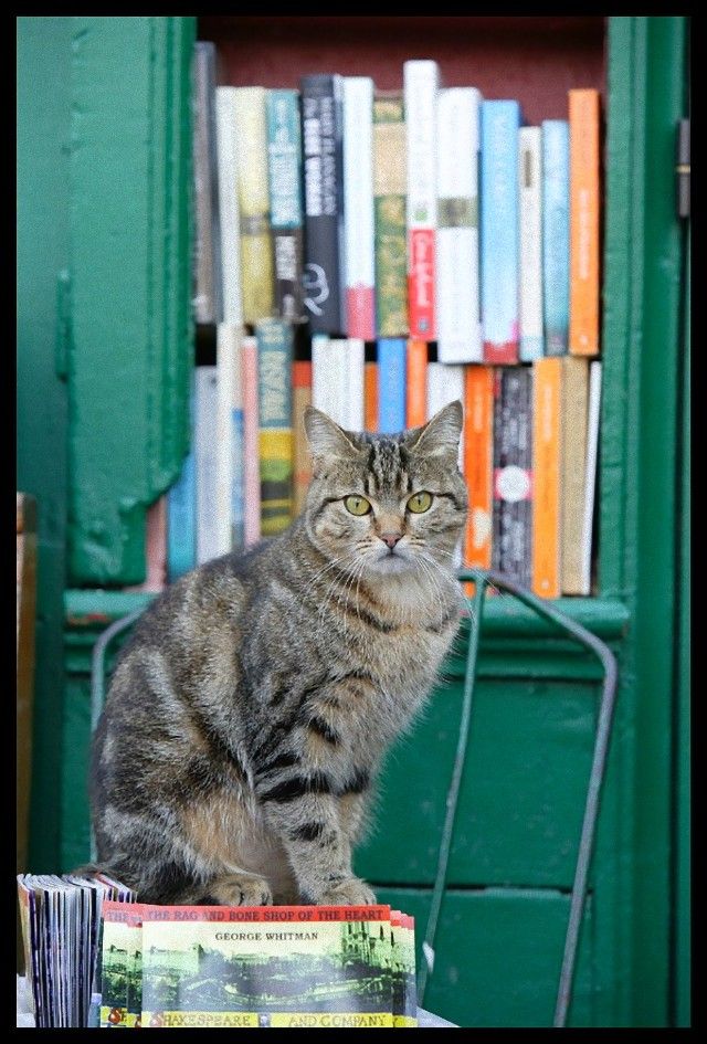 shakespeare-and-company-paris_e
