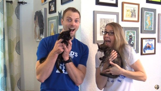 2newkittens_e