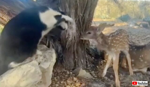 20230307_110928 (2)_batch