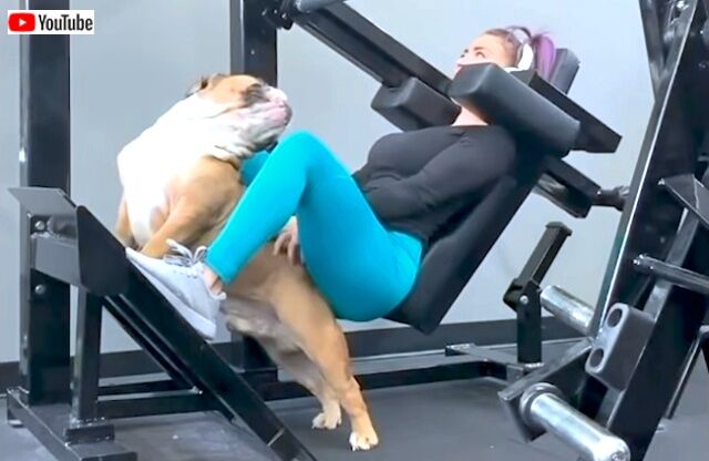 bestpet202002_12_640