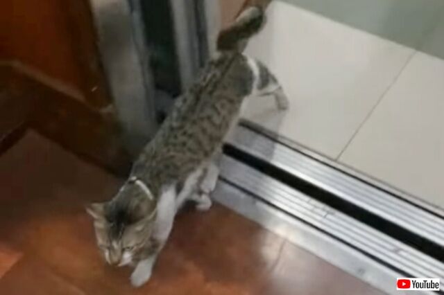 20230624_035748_batch