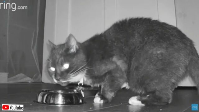 20230926_081914 (7)_batch