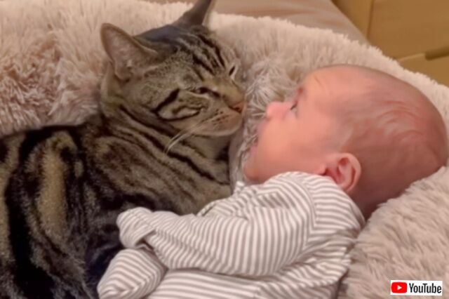 20240305_160450 (2)_batch