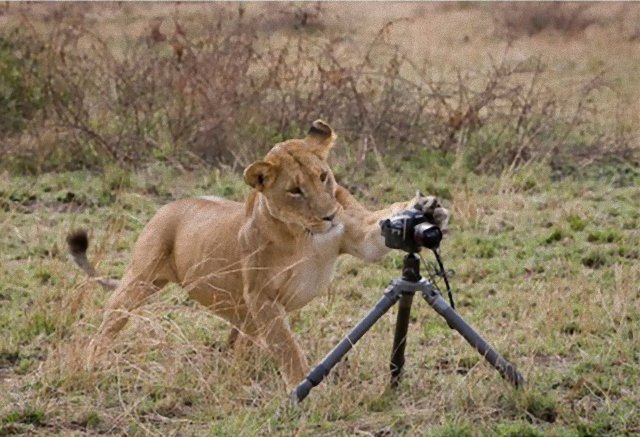 photographers20_e