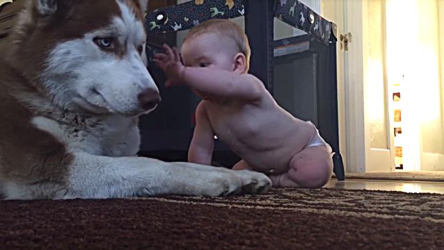 babyndog1