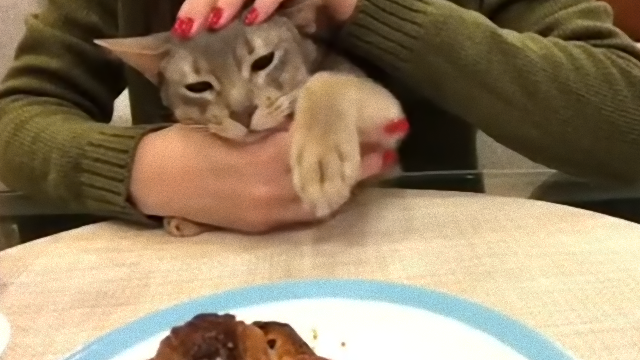 cat-1_e