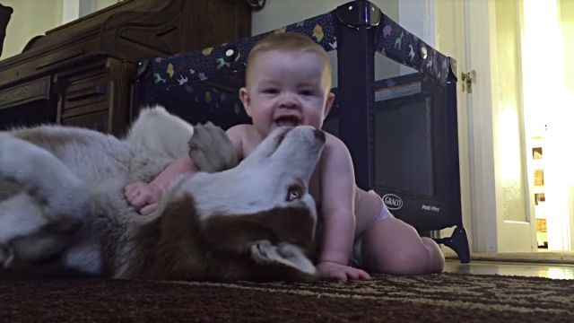 babyndog5