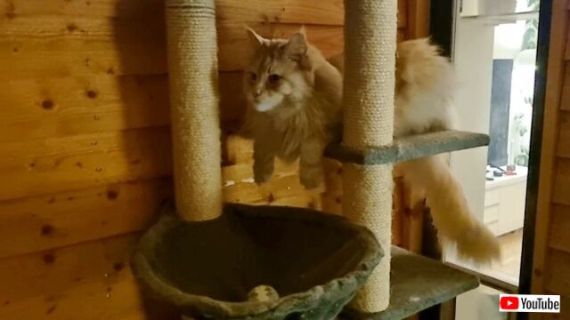 20230426_075624 (3)_batch