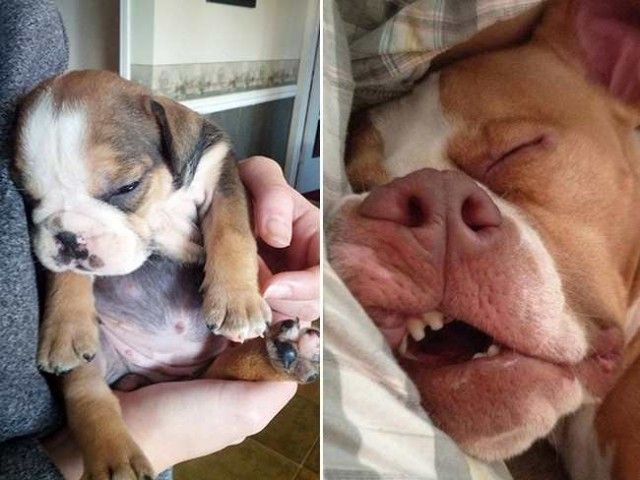 ruff_day-7_e