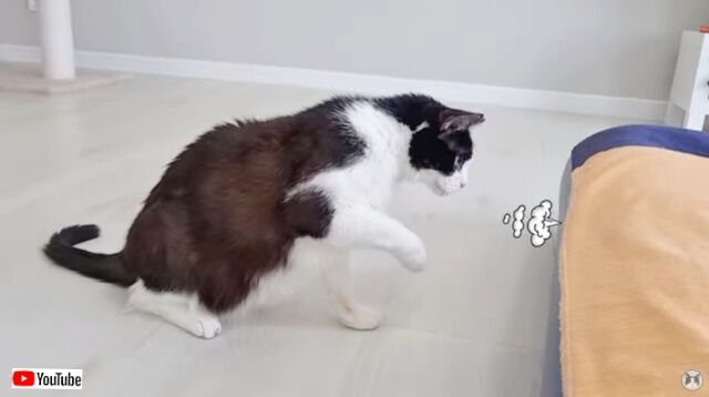 20230318_111856 (6)_batch