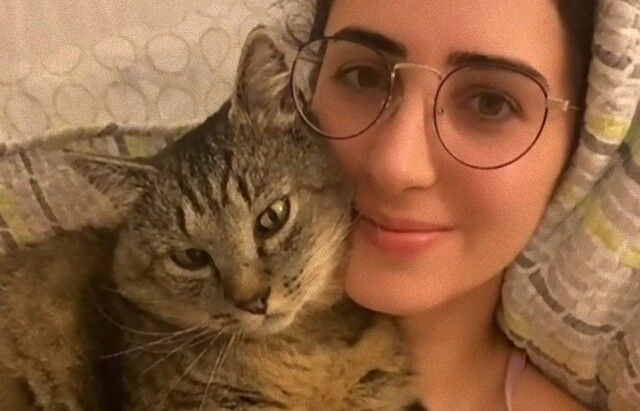 決め手は忍耐と孫の手？警戒心MAXだった野良猫が、飼い主ラブ！なイチャコラにゃんこになるまでの一部始終を解説してみた
