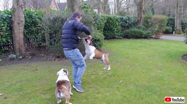 20230227_195229 (6)_batch