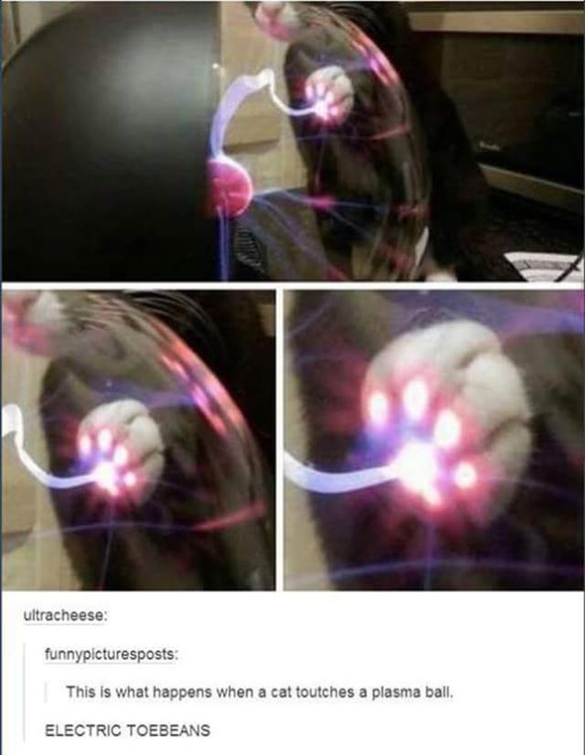 beans-9 [www.imagesplitter.net]